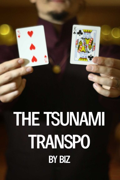 Tsunami Transpo
